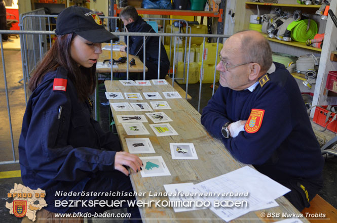 20211023 Wissenstest der Feuerwehrjugend 2021 Bezirk BADEN in Baden  Foto: BSB Markus Trobits
