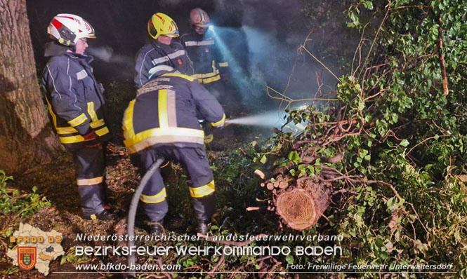 20221231 Baumbrand in Unterwaltersdorf  Foto: Freiwillige Feuerwehr Unterwaltersdorf