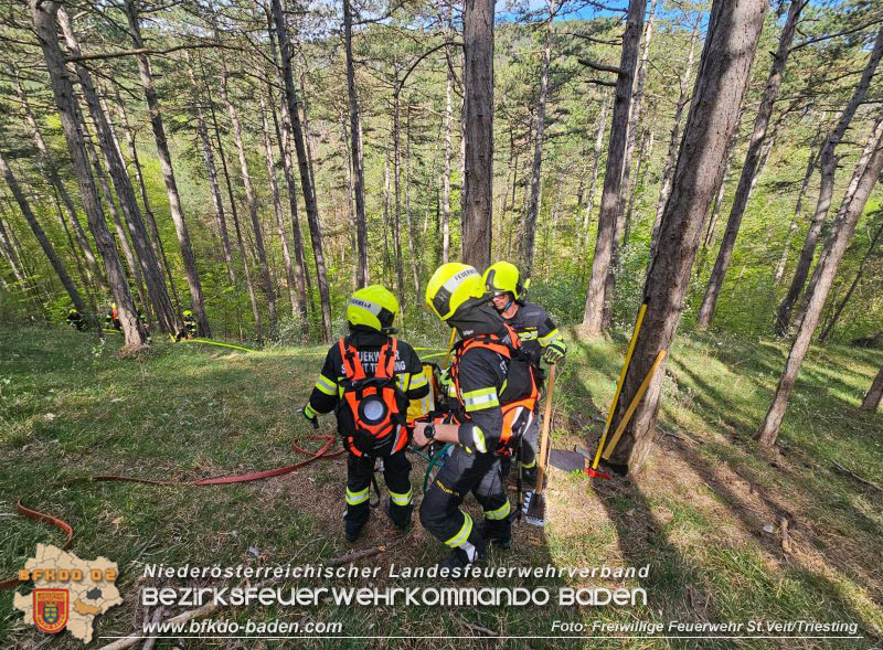 20240413 Zweite bung der Waldbrandgruppe Abschnitt Pottenstein  Foto: Michael Zehetner / Freiwillige Feuerwehr St.Veit a.d.Triesting