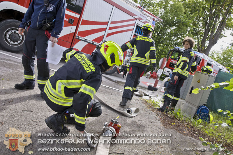 20240601 Abschnittsübung „Waldbrand" 2024 in Furth-Pottenstein-Weissenbach Foto: Stefan Schneider S5/BFKDO Baden 20240601 Abschnittsübung „Waldbrand" 2024 in Furth-Pottenstein-Weissenbach Foto: Stefan Schneider S5/BFKDO Baden