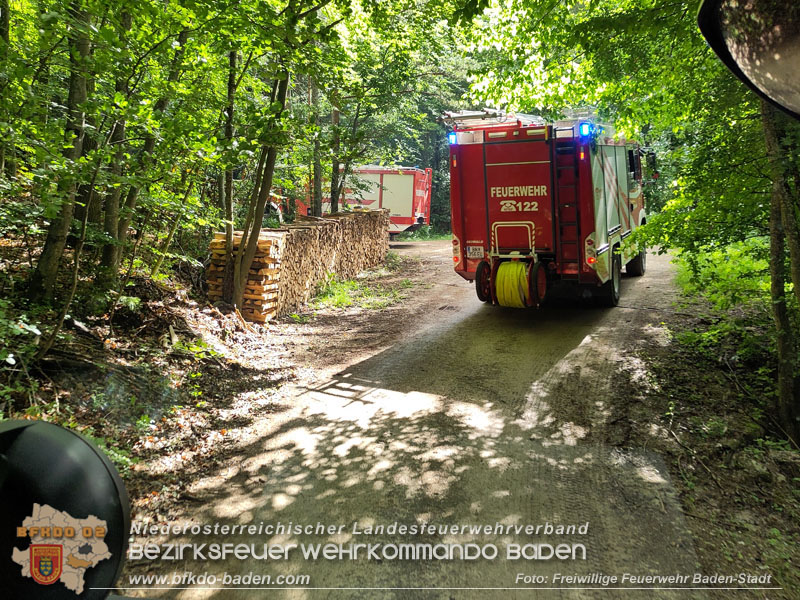 20240601 Abschnittsübung „Waldbrand" 2024 in Furth-Pottenstein-Weissenbach Foto: Fritz Beichbuchner FF Baden-Stadt 20240601 Abschnittsübung „Waldbrand" 2024 in Furth-Pottenstein-Weissenbach Foto: Fritz Beichbuchner FF Baden-Stadt
