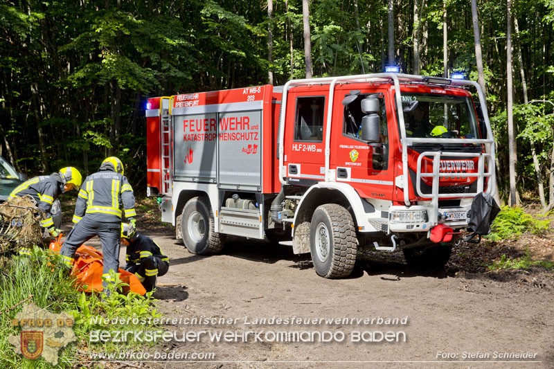 20240601 Abschnittsübung „Waldbrand" 2024 in Furth-Pottenstein-Weissenbach Foto: Stefan Schneider S5/BFKDO Baden 20240601 Abschnittsübung „Waldbrand" 2024 in Furth-Pottenstein-Weissenbach Foto: Stefan Schneider S5/BFKDO Baden