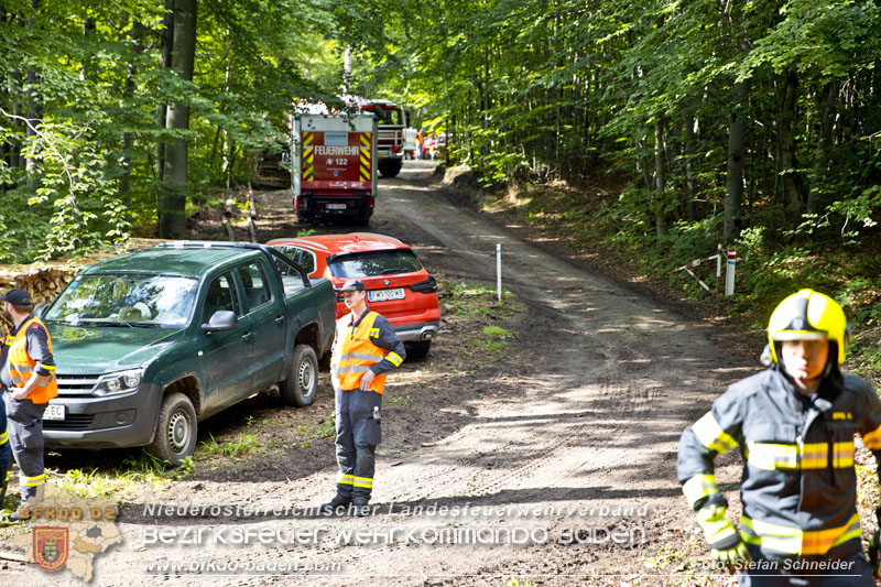 20240601 Abschnittsübung „Waldbrand" 2024 in Furth-Pottenstein-Weissenbach Foto: Stefan Schneider S5/BFKDO Baden 20240601 Abschnittsübung „Waldbrand" 2024 in Furth-Pottenstein-Weissenbach Foto: Stefan Schneider S5/BFKDO Baden