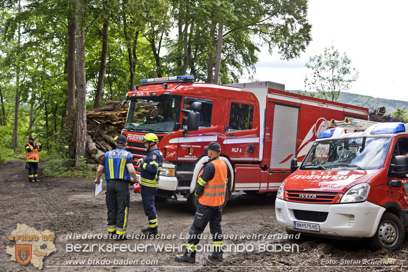 20240601 Abschnittsübung „Waldbrand" 2024 in Furth-Pottenstein-Weissenbach Foto: Stefan Schneider S5/BFKDO Baden 20240601 Abschnittsübung „Waldbrand" 2024 in Furth-Pottenstein-Weissenbach Foto: Stefan Schneider S5/BFKDO Baden