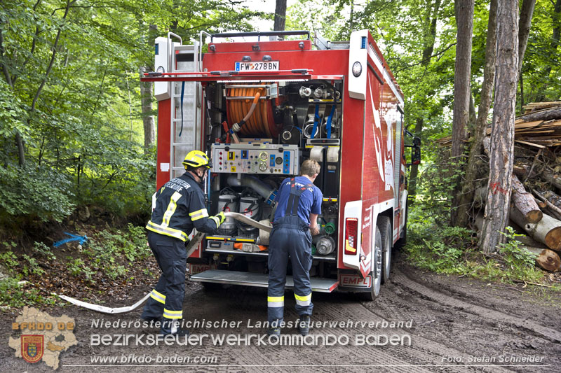 20240601 Abschnittsübung „Waldbrand" 2024 in Furth-Pottenstein-Weissenbach Foto: Stefan Schneider S5/BFKDO Baden 20240601 Abschnittsübung „Waldbrand" 2024 in Furth-Pottenstein-Weissenbach Foto: Stefan Schneider S5/BFKDO Baden