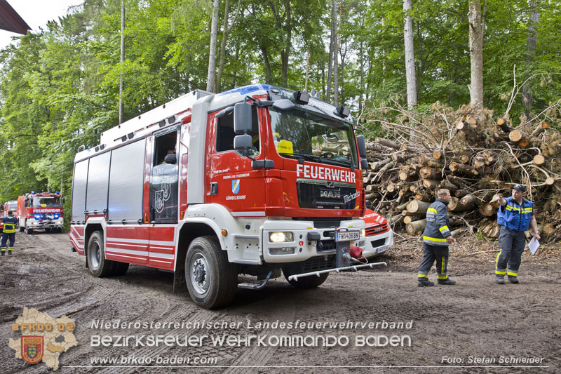 20240601 Abschnittsübung „Waldbrand" 2024 in Furth-Pottenstein-Weissenbach Foto: Stefan Schneider S5/BFKDO Baden 20240601 Abschnittsübung „Waldbrand" 2024 in Furth-Pottenstein-Weissenbach Foto: Stefan Schneider S5/BFKDO Baden