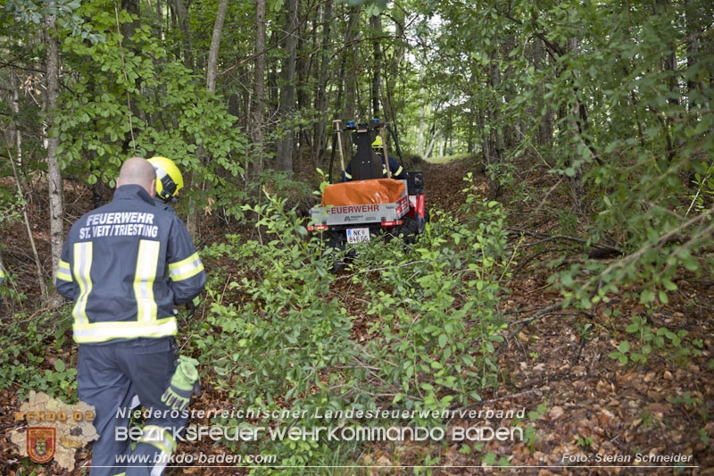 20240601 Abschnittsübung „Waldbrand" 2024 in Furth-Pottenstein-Weissenbach Foto: Stefan Schneider S5/BFKDO Baden 20240601 Abschnittsübung „Waldbrand" 2024 in Furth-Pottenstein-Weissenbach Foto: Stefan Schneider S5/BFKDO Baden