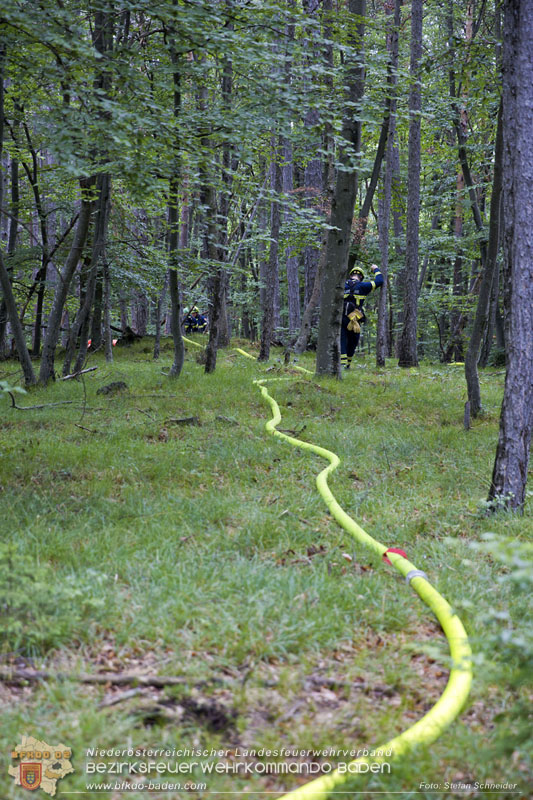 20240601 Abschnittsübung „Waldbrand" 2024 in Furth-Pottenstein-Weissenbach Foto: Stefan Schneider S5/BFKDO Baden 20240601 Abschnittsübung „Waldbrand" 2024 in Furth-Pottenstein-Weissenbach Foto: Stefan Schneider S5/BFKDO Baden
