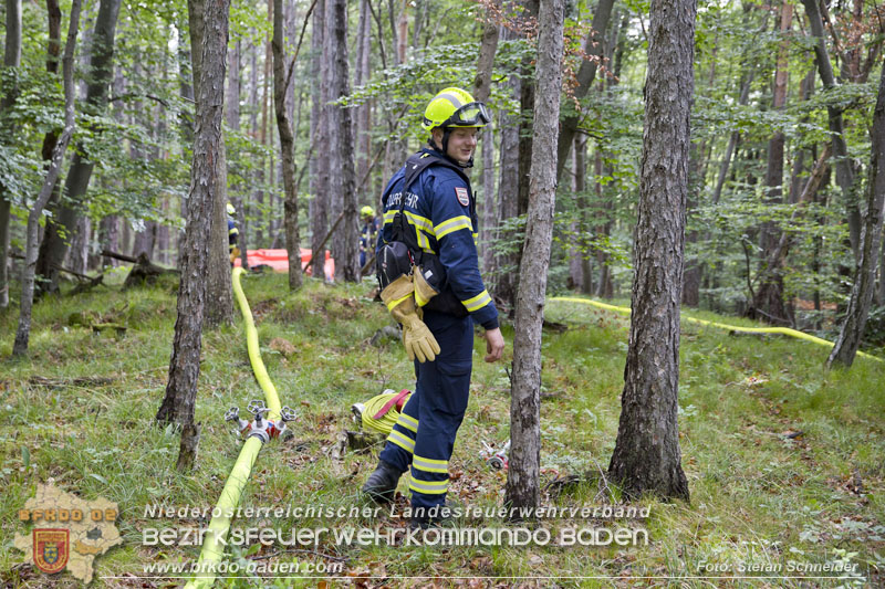 20240601 Abschnittsübung „Waldbrand" 2024 in Furth-Pottenstein-Weissenbach Foto: Stefan Schneider S5/BFKDO Baden 20240601 Abschnittsübung „Waldbrand" 2024 in Furth-Pottenstein-Weissenbach Foto: Stefan Schneider S5/BFKDO Baden