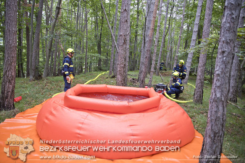 20240601 Abschnittsübung „Waldbrand" 2024 in Furth-Pottenstein-Weissenbach Foto: Stefan Schneider S5/BFKDO Baden 20240601 Abschnittsübung „Waldbrand" 2024 in Furth-Pottenstein-Weissenbach Foto: Stefan Schneider S5/BFKDO Baden