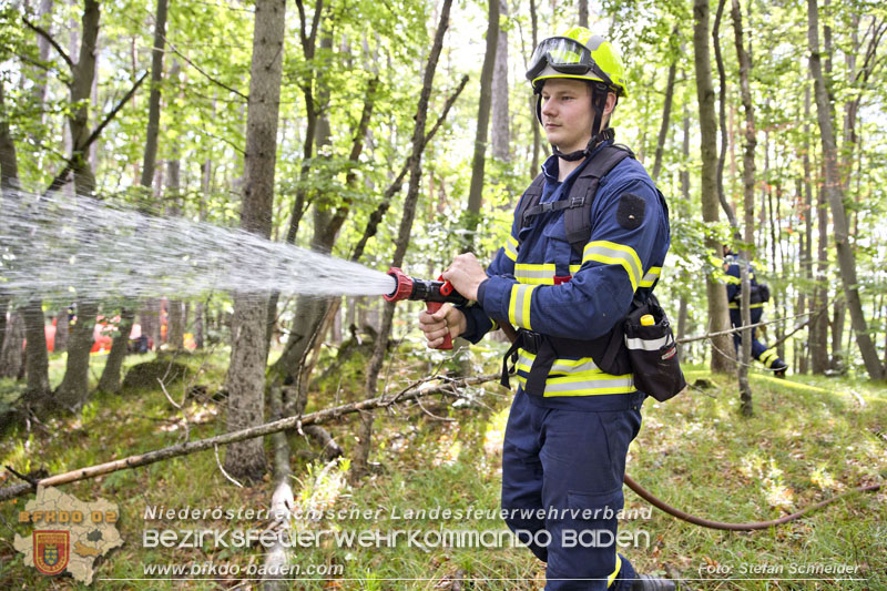 20240601 Abschnittsübung „Waldbrand" 2024 in Furth-Pottenstein-Weissenbach Foto: Stefan Schneider S5/BFKDO Baden 20240601 Abschnittsübung „Waldbrand" 2024 in Furth-Pottenstein-Weissenbach Foto: Stefan Schneider S5/BFKDO Baden