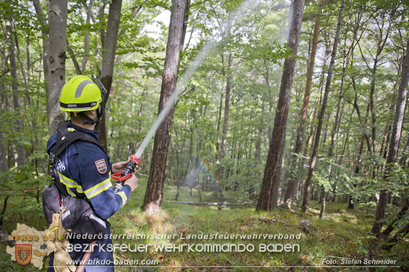 20240601 Abschnittsübung „Waldbrand" 2024 in Furth-Pottenstein-Weissenbach Foto: Stefan Schneider S5/BFKDO Baden 20240601 Abschnittsübung „Waldbrand" 2024 in Furth-Pottenstein-Weissenbach Foto: Stefan Schneider S5/BFKDO Baden