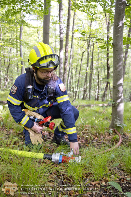 20240601 Abschnittsübung „Waldbrand" 2024 in Furth-Pottenstein-Weissenbach Foto: Stefan Schneider S5/BFKDO Baden 20240601 Abschnittsübung „Waldbrand" 2024 in Furth-Pottenstein-Weissenbach Foto: Stefan Schneider S5/BFKDO Baden