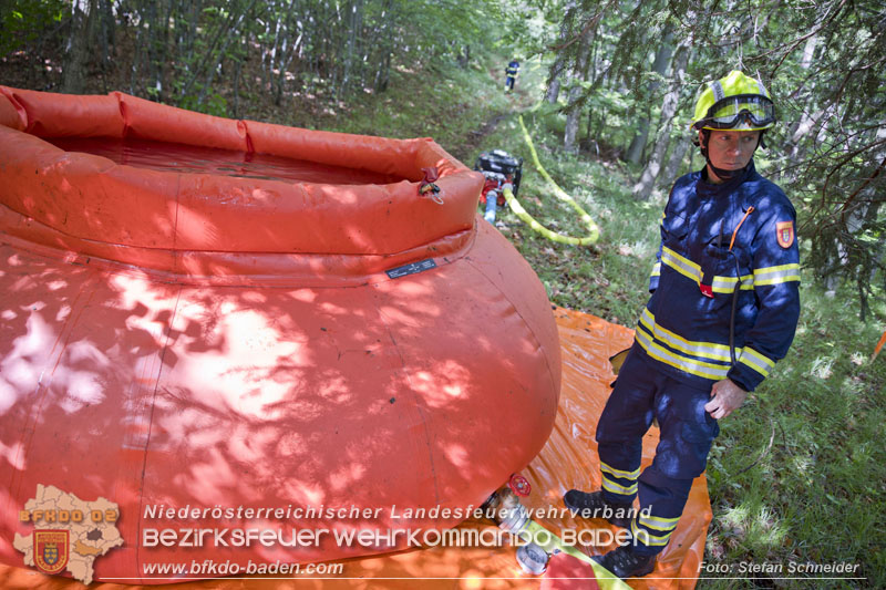 20240601 Abschnittsübung „Waldbrand" 2024 in Furth-Pottenstein-Weissenbach Foto: Stefan Schneider S5/BFKDO Baden 20240601 Abschnittsübung „Waldbrand" 2024 in Furth-Pottenstein-Weissenbach Foto: Stefan Schneider S5/BFKDO Baden