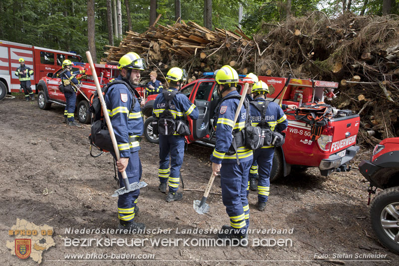 20240601 Abschnittsübung „Waldbrand" 2024 in Furth-Pottenstein-Weissenbach Foto: Stefan Schneider S5/BFKDO Baden 20240601 Abschnittsübung „Waldbrand" 2024 in Furth-Pottenstein-Weissenbach Foto: Stefan Schneider S5/BFKDO Baden