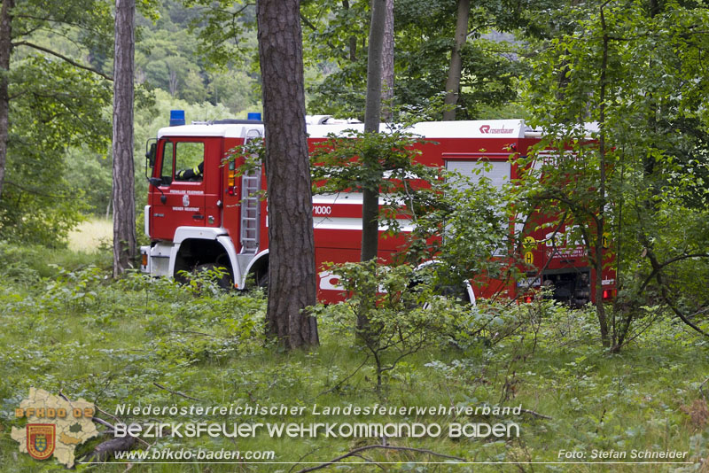 20240601 Abschnittsübung „Waldbrand" 2024 in Furth-Pottenstein-Weissenbach Foto: Stefan Schneider S5/BFKDO Baden 20240601 Abschnittsübung „Waldbrand" 2024 in Furth-Pottenstein-Weissenbach Foto: Stefan Schneider S5/BFKDO Baden