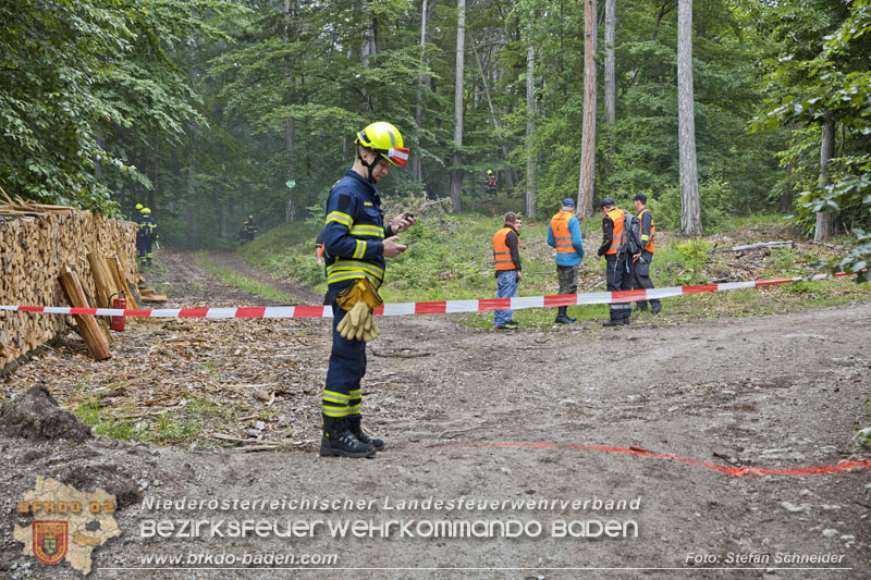 20240601 Abschnittsübung „Waldbrand" 2024 in Furth-Pottenstein-Weissenbach Foto: Stefan Schneider S5/BFKDO Baden 20240601 Abschnittsübung „Waldbrand" 2024 in Furth-Pottenstein-Weissenbach Foto: Stefan Schneider S5/BFKDO Baden