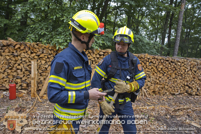 20240601 Abschnittsübung „Waldbrand" 2024 in Furth-Pottenstein-Weissenbach Foto: Stefan Schneider S5/BFKDO Baden 20240601 Abschnittsübung „Waldbrand" 2024 in Furth-Pottenstein-Weissenbach Foto: Stefan Schneider S5/BFKDO Baden