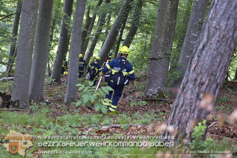 20240601 Abschnittsübung „Waldbrand" 2024 in Furth-Pottenstein-Weissenbach Foto: Stefan Schneider S5/BFKDO Baden 20240601 Abschnittsübung „Waldbrand" 2024 in Furth-Pottenstein-Weissenbach Foto: Stefan Schneider S5/BFKDO Baden