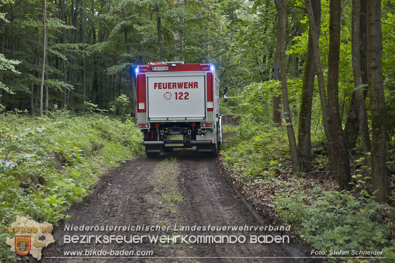 20240601 Abschnittsübung „Waldbrand" 2024 in Furth-Pottenstein-Weissenbach Foto: Stefan Schneider S5/BFKDO Baden 20240601 Abschnittsübung „Waldbrand" 2024 in Furth-Pottenstein-Weissenbach Foto: Stefan Schneider S5/BFKDO Baden