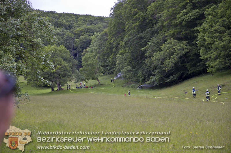 20240601 Abschnittsübung „Waldbrand" 2024 in Furth-Pottenstein-Weissenbach Foto: Stefan Schneider S5/BFKDO Baden 20240601 Abschnittsübung „Waldbrand" 2024 in Furth-Pottenstein-Weissenbach Foto: Stefan Schneider S5/BFKDO Baden