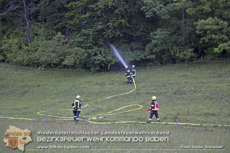 20240601 Abschnittsübung „Waldbrand" 2024 in Furth-Pottenstein-Weissenbach Foto: Stefan Schneider S5/BFKDO Baden 20240601 Abschnittsübung „Waldbrand" 2024 in Furth-Pottenstein-Weissenbach Foto: Stefan Schneider S5/BFKDO Baden
