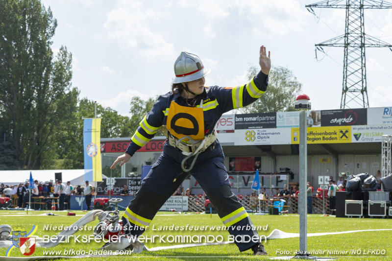 20240628_72. Nö Landesfeuerwehrleistungsbewerb in Leobersdorf - TAG 1 Foto: Alexander Nittner NÖ LFKDO 20240628_72. Nö Landesfeuerwehrleistungsbewerb in Leobersdorf - TAG 1 Foto: Alexander Nittner NÖ LFKDO