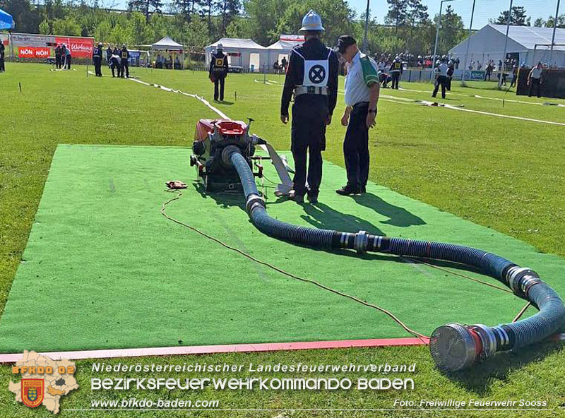 72. NÖ LFLB in Leobersdorf 72. NÖ LFLB in Leobersdorf