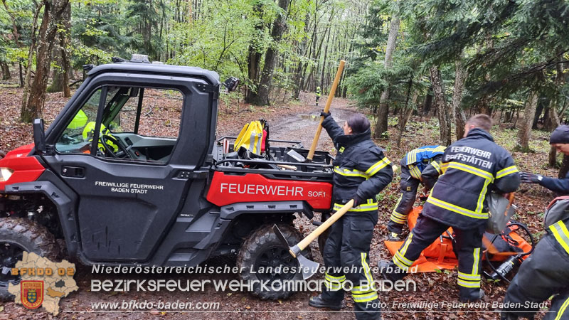20241005_Abschnittsfeuerwehr�bung in Pfaffst�tten Waldgebiet Rund um die Rudolf Prokschh�tte  Foto: Stefan Schneider FF Baden-Stadt