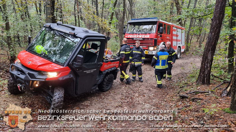 20241005_Abschnittsfeuerwehr�bung in Pfaffst�tten Waldgebiet Rund um die Rudolf Prokschh�tte  Foto: Stefan Schneider FF Baden-Stadt