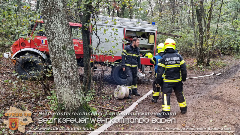 20241005_Abschnittsfeuerwehr�bung in Pfaffst�tten Waldgebiet Rund um die Rudolf Prokschh�tte  Foto: Stefan Schneider FF Baden-Stadt