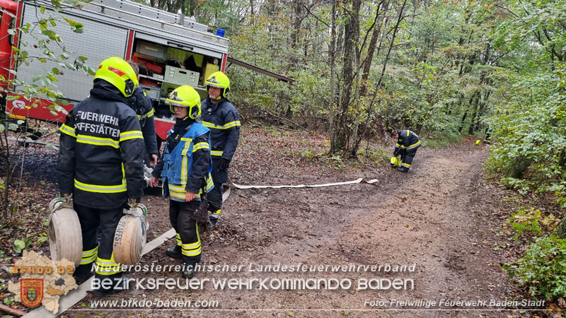 20241005_Abschnittsfeuerwehr�bung in Pfaffst�tten Waldgebiet Rund um die Rudolf Prokschh�tte  Foto: Stefan Schneider FF Baden-Stadt