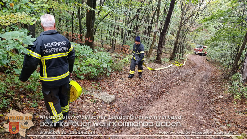 20241005_Abschnittsfeuerwehr�bung in Pfaffst�tten Waldgebiet Rund um die Rudolf Prokschh�tte  Foto: Stefan Schneider FF Baden-Stadt