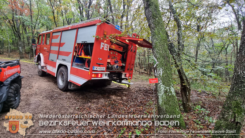20241005_Abschnittsfeuerwehr�bung in Pfaffst�tten Waldgebiet Rund um die Rudolf Prokschh�tte  Foto: Stefan Schneider FF Baden-Stadt