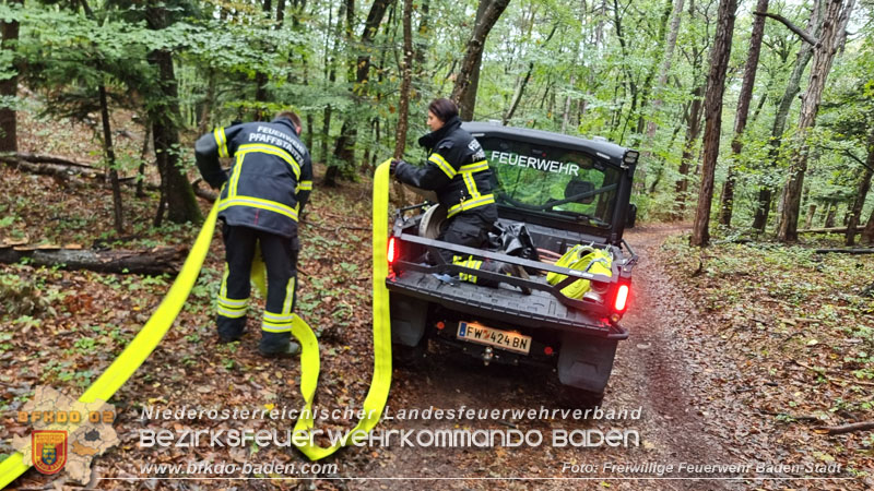 20241005_Abschnittsfeuerwehr�bung in Pfaffst�tten Waldgebiet Rund um die Rudolf Prokschh�tte  Foto: Stefan Schneider FF Baden-Stadt