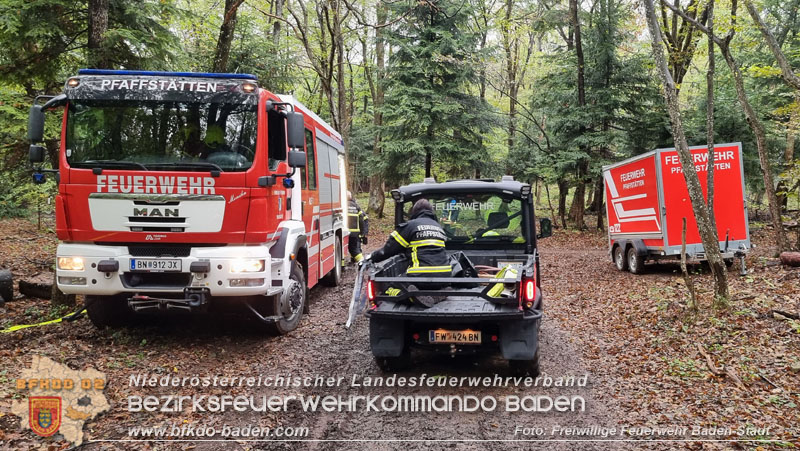 20241005_Abschnittsfeuerwehr�bung in Pfaffst�tten Waldgebiet Rund um die Rudolf Prokschh�tte  Foto: Stefan Schneider FF Baden-Stadt