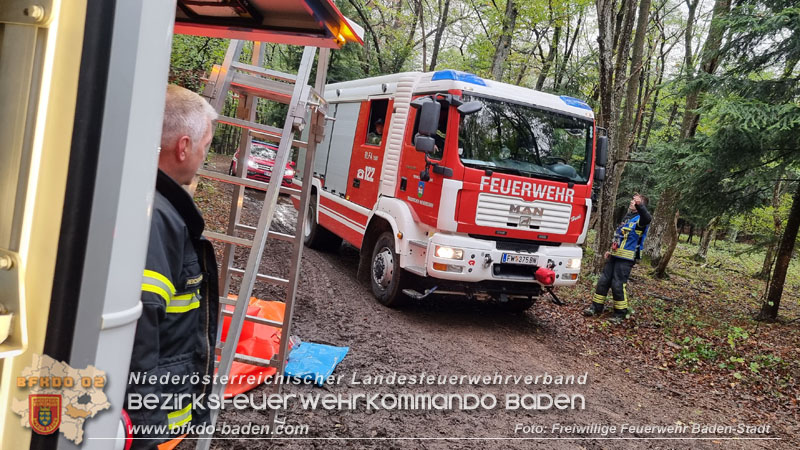 20241005_Abschnittsfeuerwehr�bung in Pfaffst�tten Waldgebiet Rund um die Rudolf Prokschh�tte  Foto: Stefan Schneider FF Baden-Stadt
