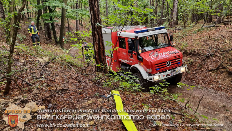 20241005_Abschnittsfeuerwehr�bung in Pfaffst�tten Waldgebiet Rund um die Rudolf Prokschh�tte  Foto: Stefan Schneider FF Baden-Stadt
