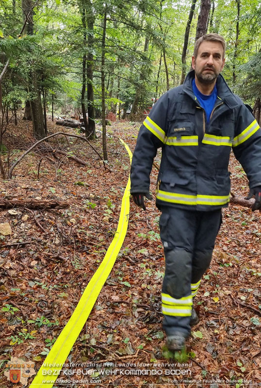 20241005_Abschnittsfeuerwehr�bung in Pfaffst�tten Waldgebiet Rund um die Rudolf Prokschh�tte  Foto: Stefan Schneider FF Baden-Stadt