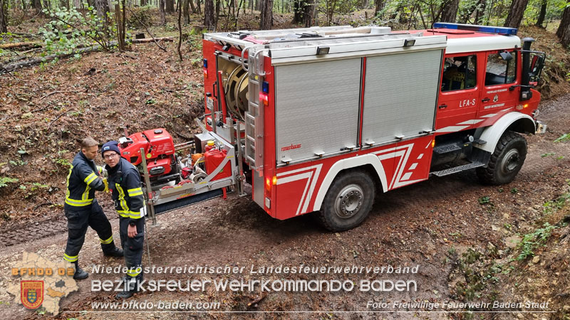 20241005_Abschnittsfeuerwehr�bung in Pfaffst�tten Waldgebiet Rund um die Rudolf Prokschh�tte  Foto: Stefan Schneider FF Baden-Stadt