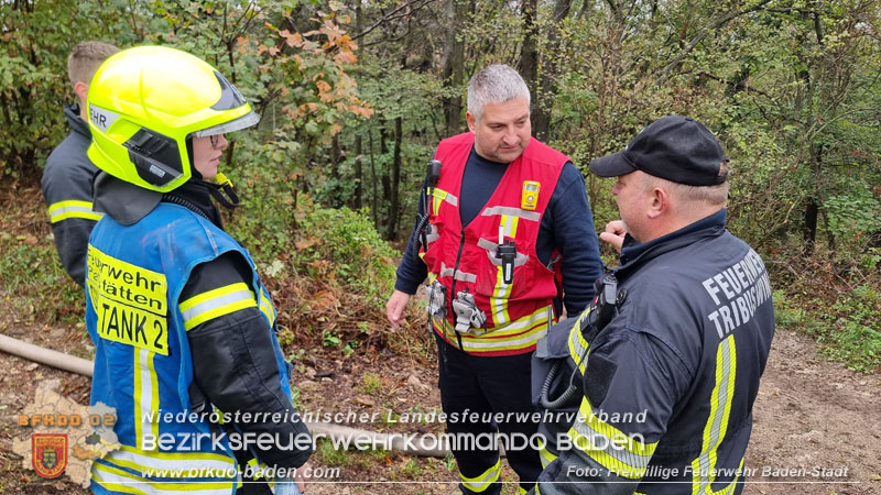 20241005_Abschnittsfeuerwehr�bung in Pfaffst�tten Waldgebiet Rund um die Rudolf Prokschh�tte  Foto: Stefan Schneider FF Baden-Stadt