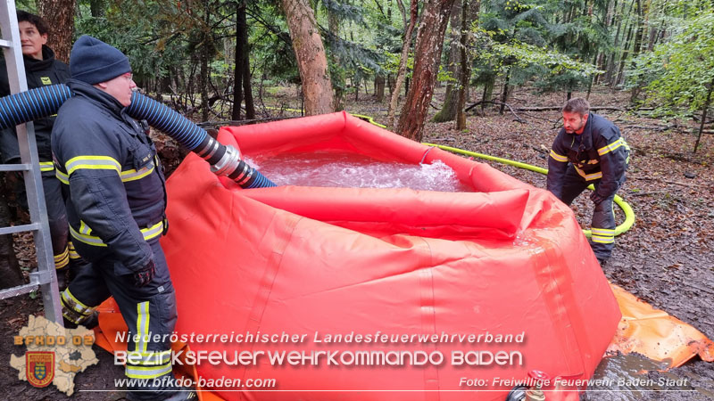 20241005_Abschnittsfeuerwehr�bung in Pfaffst�tten Waldgebiet Rund um die Rudolf Prokschh�tte  Foto: Stefan Schneider FF Baden-Stadt