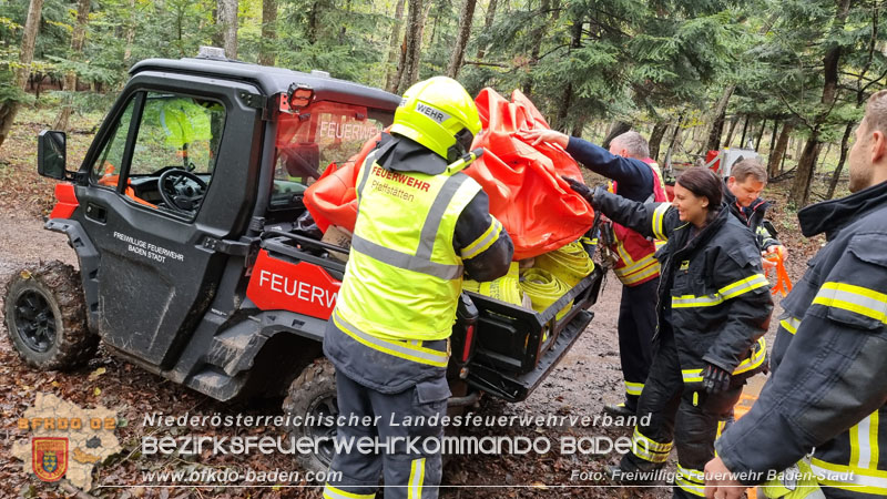 20241005_Abschnittsfeuerwehr�bung in Pfaffst�tten Waldgebiet Rund um die Rudolf Prokschh�tte  Foto: Stefan Schneider FF Baden-Stadt