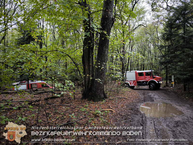 20241005_Abschnittsfeuerwehr�bung in Pfaffst�tten Waldgebiet Rund um die Rudolf Prokschh�tte  Foto: Melanie Raimann FF Pfaffst�tten
