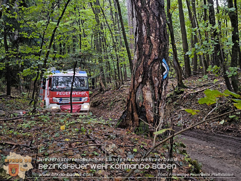 20241005_Abschnittsfeuerwehr�bung in Pfaffst�tten Waldgebiet Rund um die Rudolf Prokschh�tte  Foto: Melanie Raimann FF Pfaffst�tten