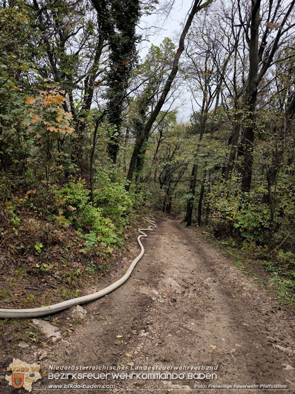 20241005_Abschnittsfeuerwehr�bung in Pfaffst�tten Waldgebiet Rund um die Rudolf Prokschh�tte  Foto: Melanie Raimann FF Pfaffst�tten