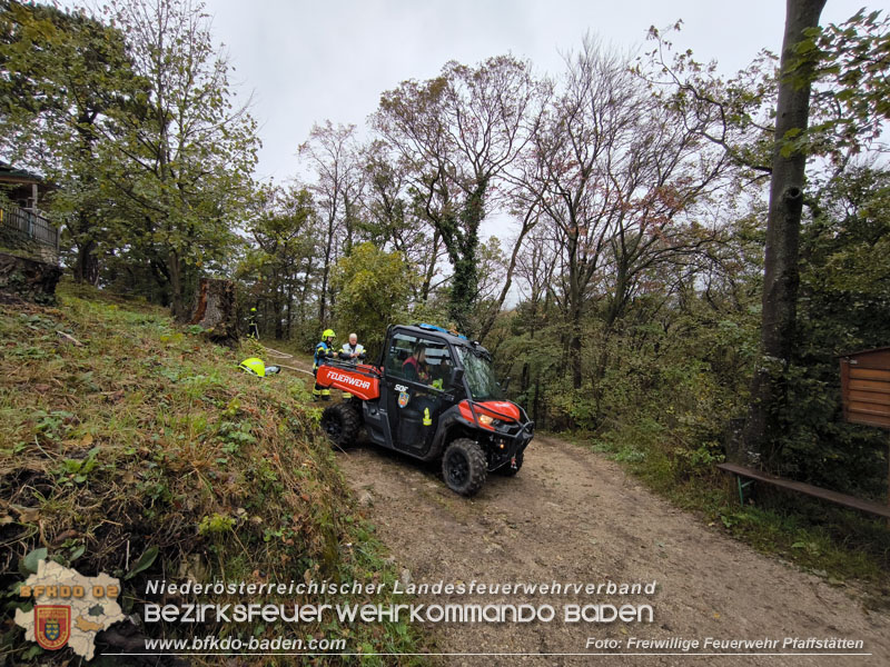 20241005_Abschnittsfeuerwehr�bung in Pfaffst�tten Waldgebiet Rund um die Rudolf Prokschh�tte  Foto: Melanie Raimann FF Pfaffst�tten