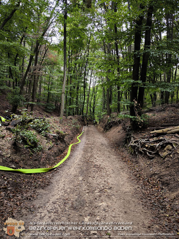20241005_Abschnittsfeuerwehr�bung in Pfaffst�tten Waldgebiet Rund um die Rudolf Prokschh�tte  Foto: Melanie Raimann FF Pfaffst�tten