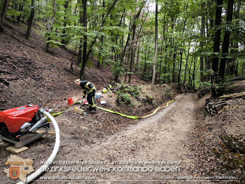 20241005_Abschnittsfeuerwehr�bung in Pfaffst�tten Waldgebiet Rund um die Rudolf Prokschh�tte  Foto: Melanie Raimann FF Pfaffst�tten