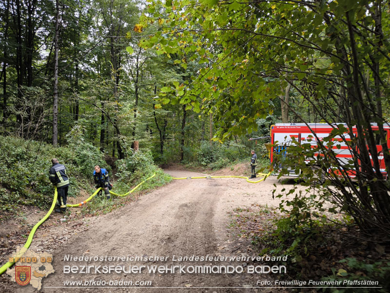 20241005_Abschnittsfeuerwehr�bung in Pfaffst�tten Waldgebiet Rund um die Rudolf Prokschh�tte  Foto: Melanie Raimann FF Pfaffst�tten